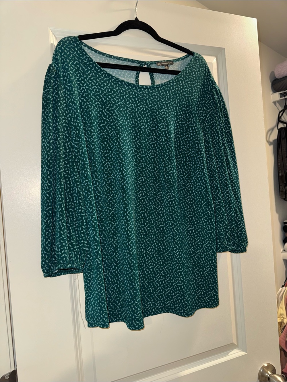 Adrianna Papell Teal Micro-Print Button-Down Shirt